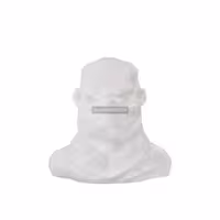 مجسمه سنگی منوچ