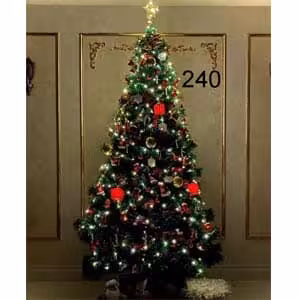 درخت کاج سوزنی 240 سانت نوک برفی