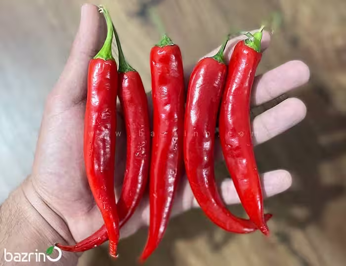 بذر فلفل قلمی تند قرمز مدل آمازون