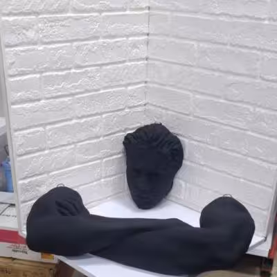 مجسمه رخ دیواری کد 2