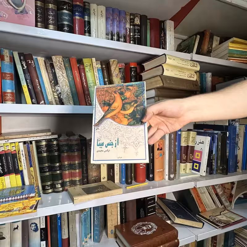 کتاب از جنس مینا