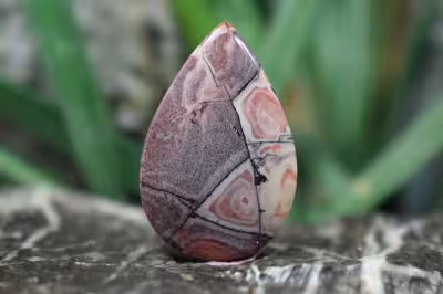 جاسپر چینی(پورسلاین جاسپر)