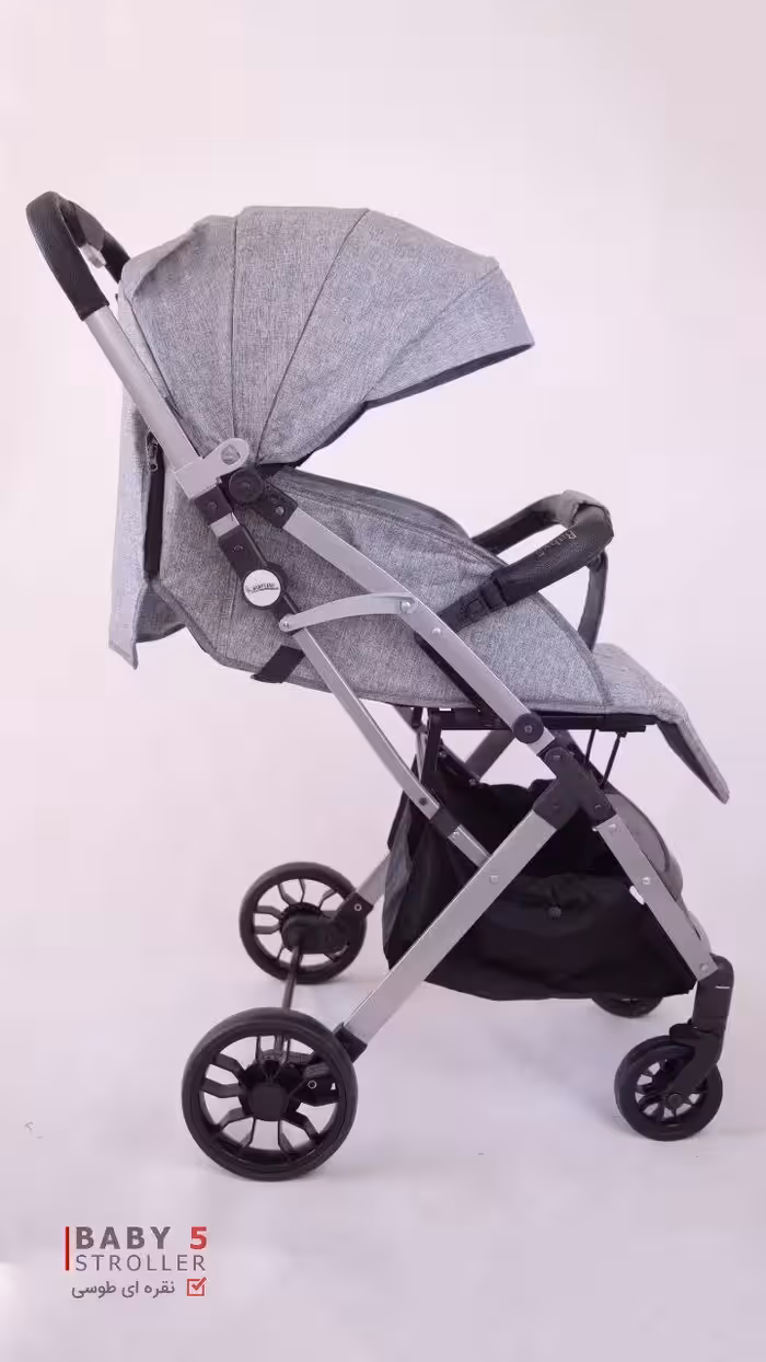 کالسکه ریچکیدز جدید چرخ بزرگ کامل نقره ای