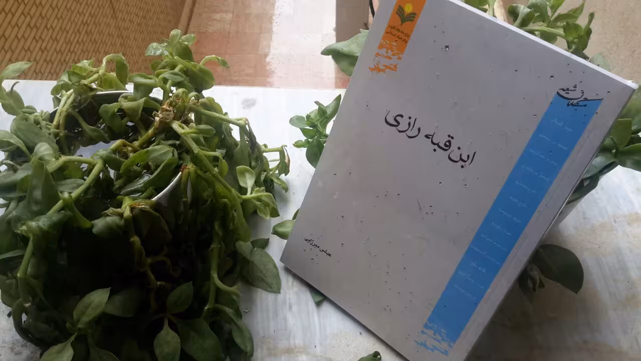 ابن قبه رازی