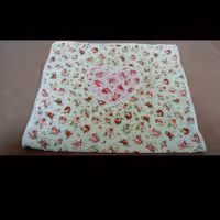 سفره مسا فرتی