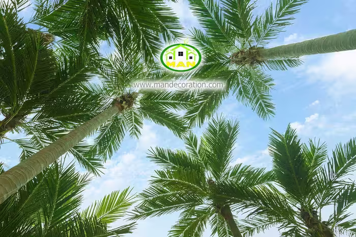 آسمان مجازی شاخه درختان کد 3025