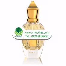 عطر ادکلن زرجوف اسکول 100 میل زنانه