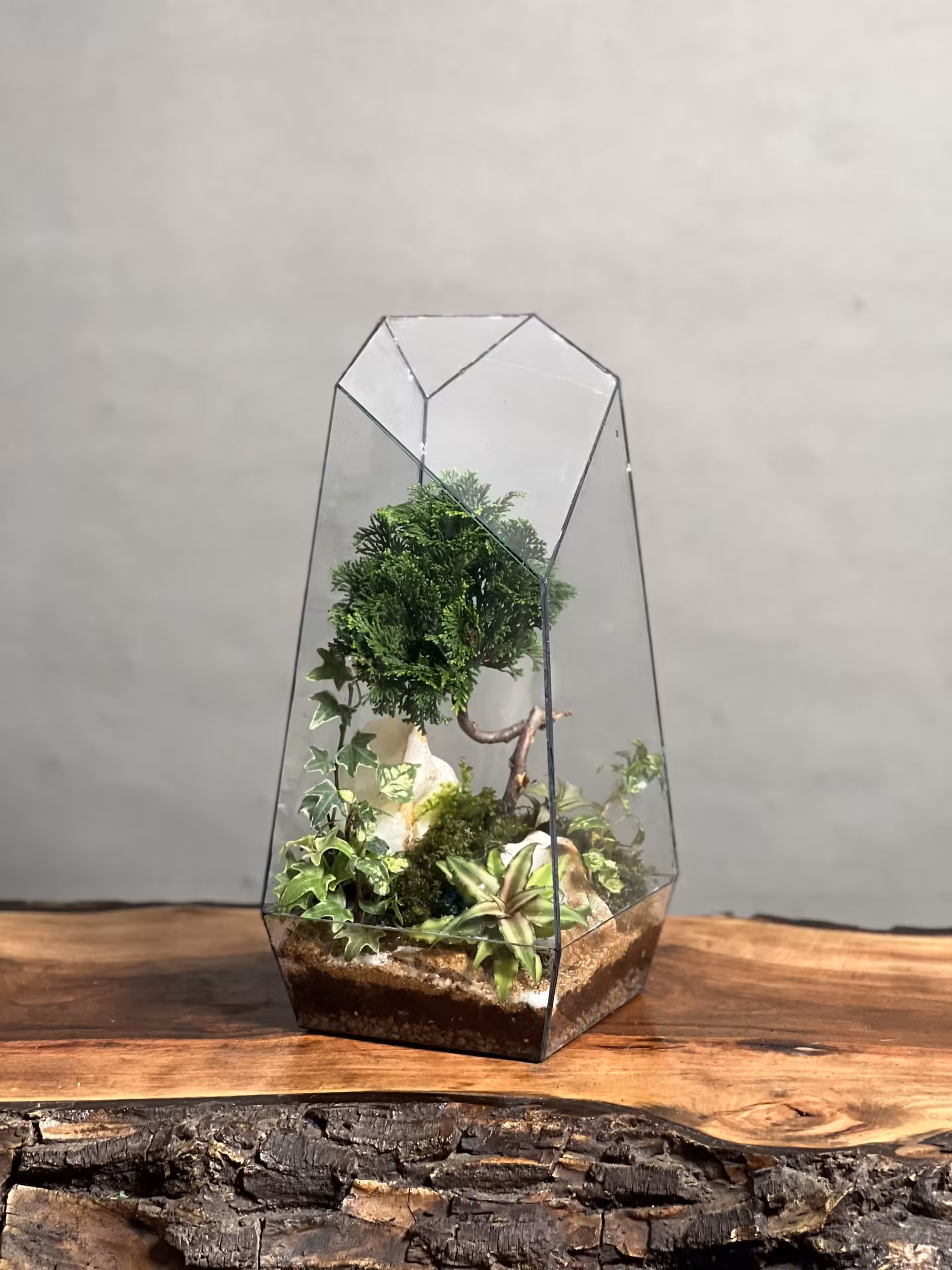 خرید تراریوم بنسای نانا طرح طبیعت 40 Cm ارسال فوری به تهران و سراسر ایران