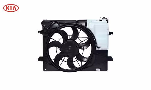 فن کامل کیا موهاوی