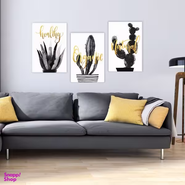 تابلو شاسی بکلیت طرح مدرن طبیعت و گل کاکتوس مدل SH-1904 مجموعه 3 عددی