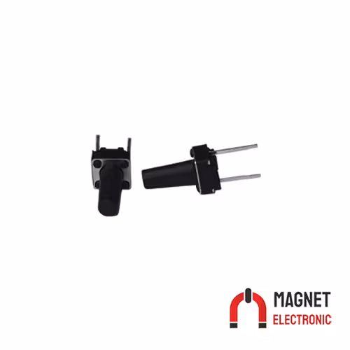 تک سوئیچ دو پین 12*6*6