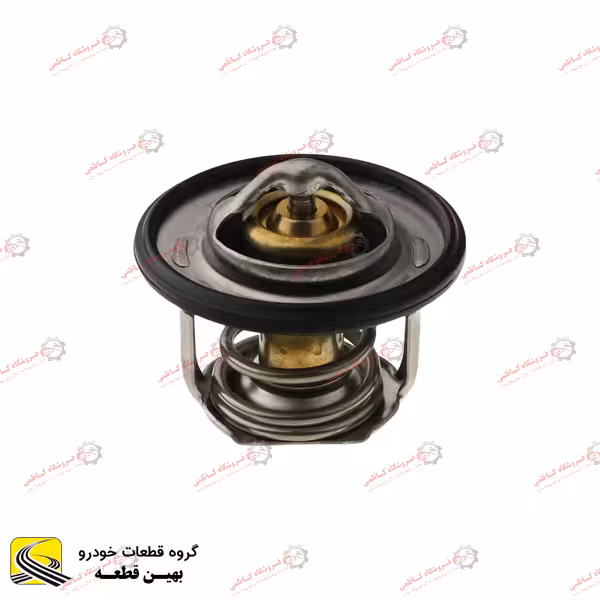 ترموستات هایما S5