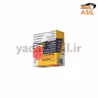 رینگ موتور پراید یورو 4 مارموت