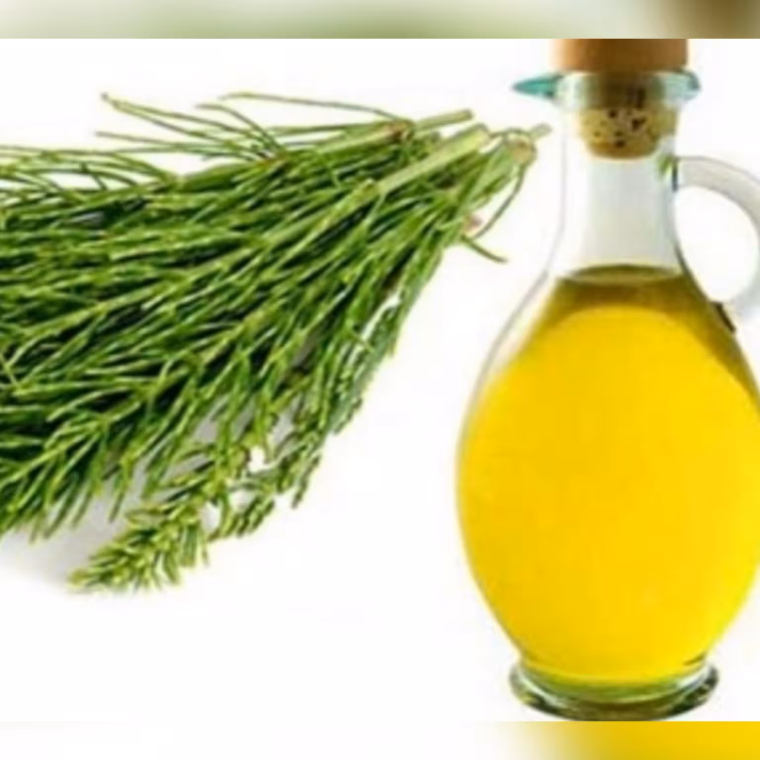 روغن دم اسبی 30 سی سی تقویت ریشه مو