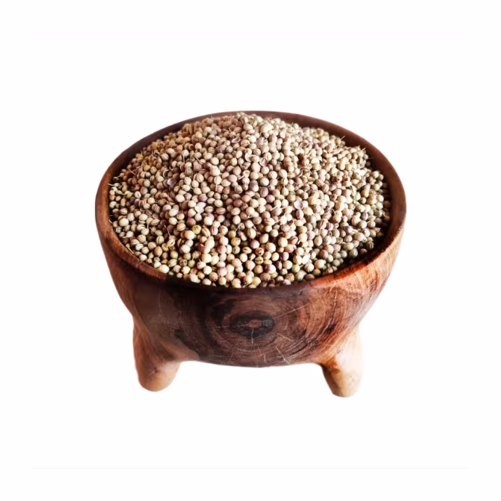 تخم گشنیز سورت شده