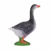 فیگور طرح غاز مدل NR1039