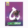 کتاب دروس طلایی پنجم دبستان ویرایش نوزدهم اثر جمعی از نویسندگان انتشارات کاگو