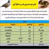 غذای جوجه بلدرچین مدل آیلی کد 07 وزن 1000 گرم
