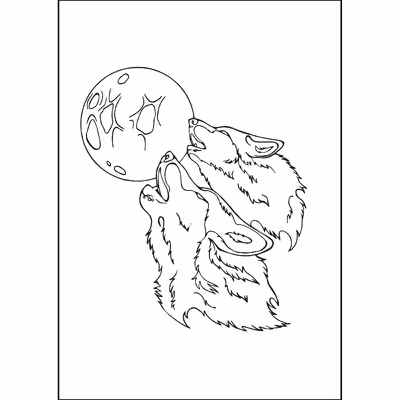 کتاب گرگ خاکستری اثر محمدمهدی کاظم‌زاده انتشارات گام‌اول