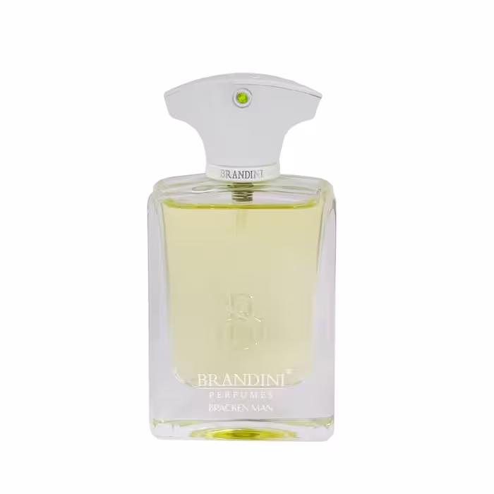 عطر جیبی مردانه برندینی مدل Bracken حجم 33 میلی لیتر