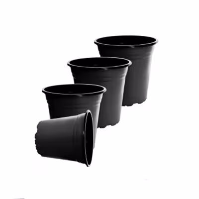 گلدان ژله ای