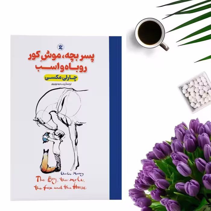 کتاب پسربچه موش کور روباه و اسب اثر چارلی مکسی انتشارات نگاه آشنا
