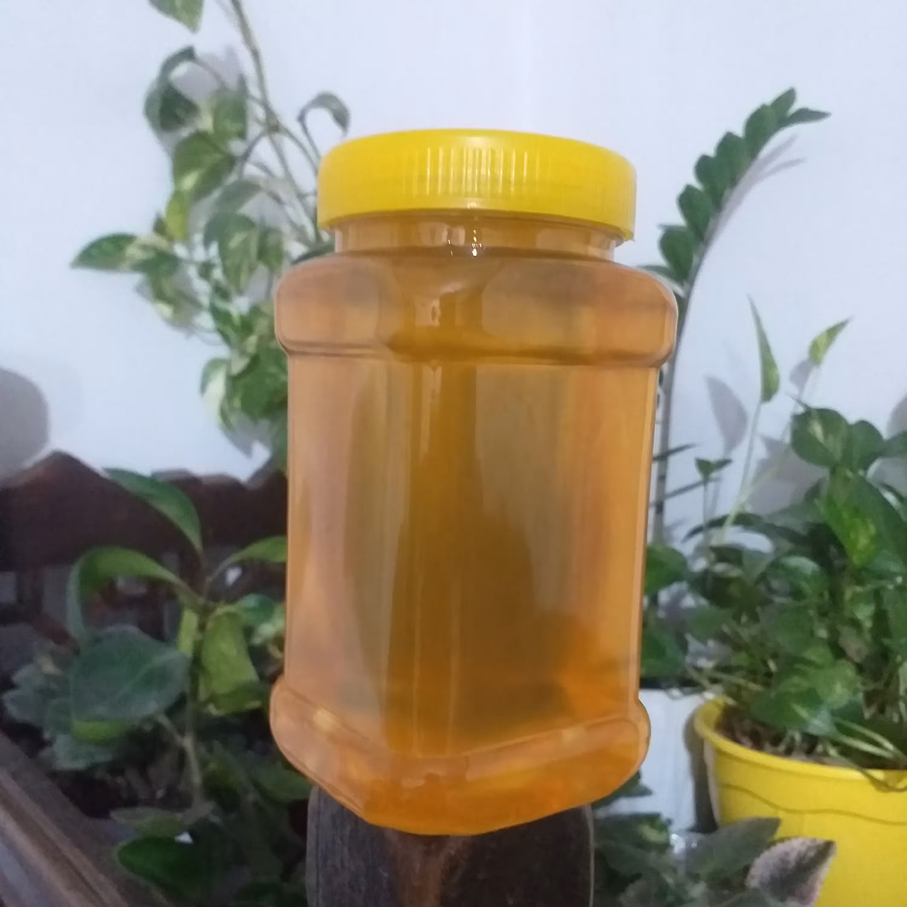 عسل طبیعی (هزار گرمی)