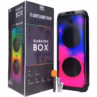 اسپیکر چمدانی بلوتوثی برودو BTS-2125  دو عدد میکروفون بی سیم