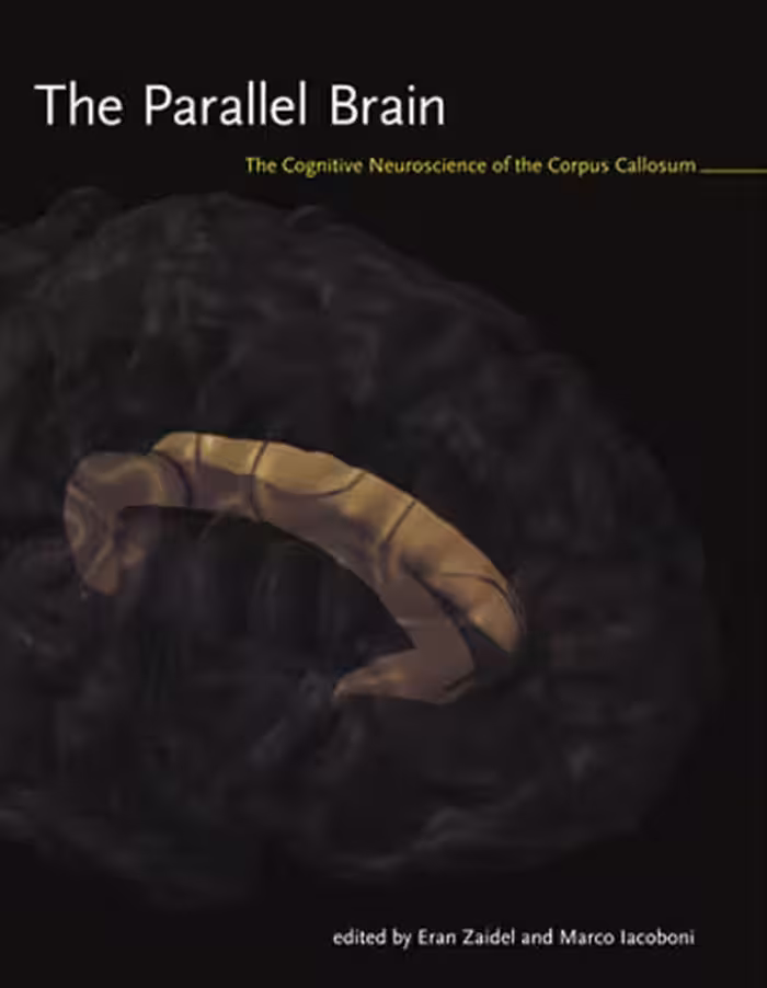 خرید و دانلود نسخه کامل کتاب The parallel brain: the cognitive neuroscience of the corpus callosum