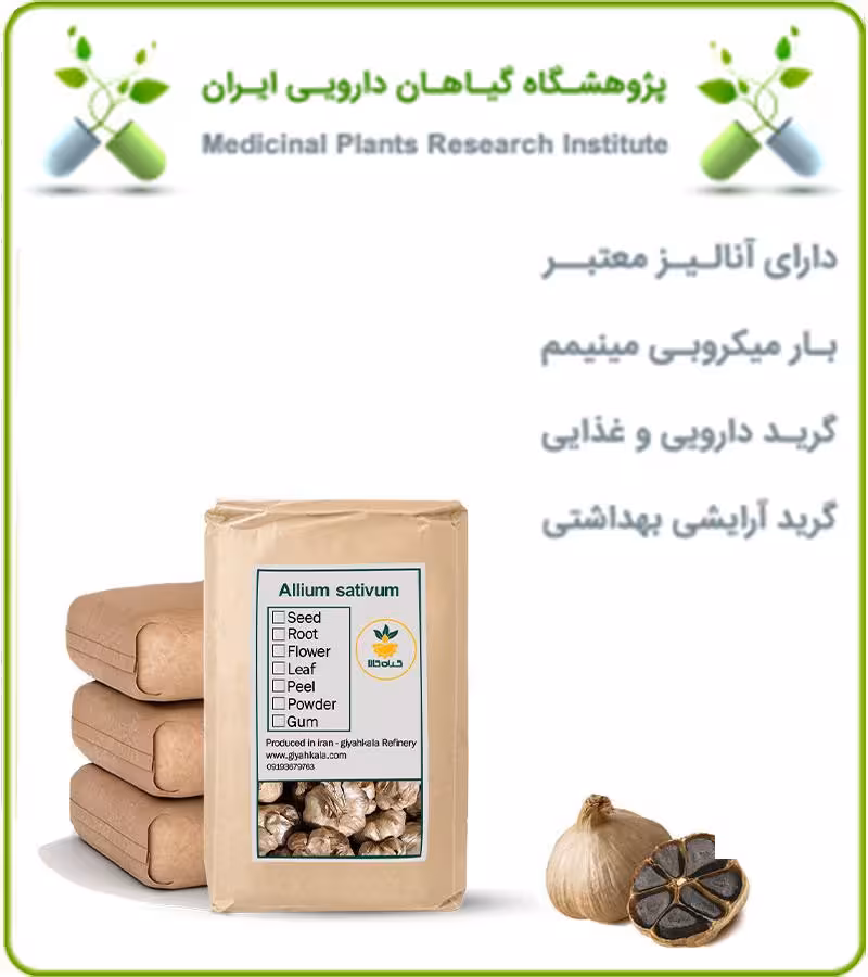 سیر سیاه خشک فله