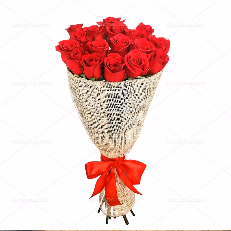 عکس دسته گل قرمز | گرافیک با طعم تربچه