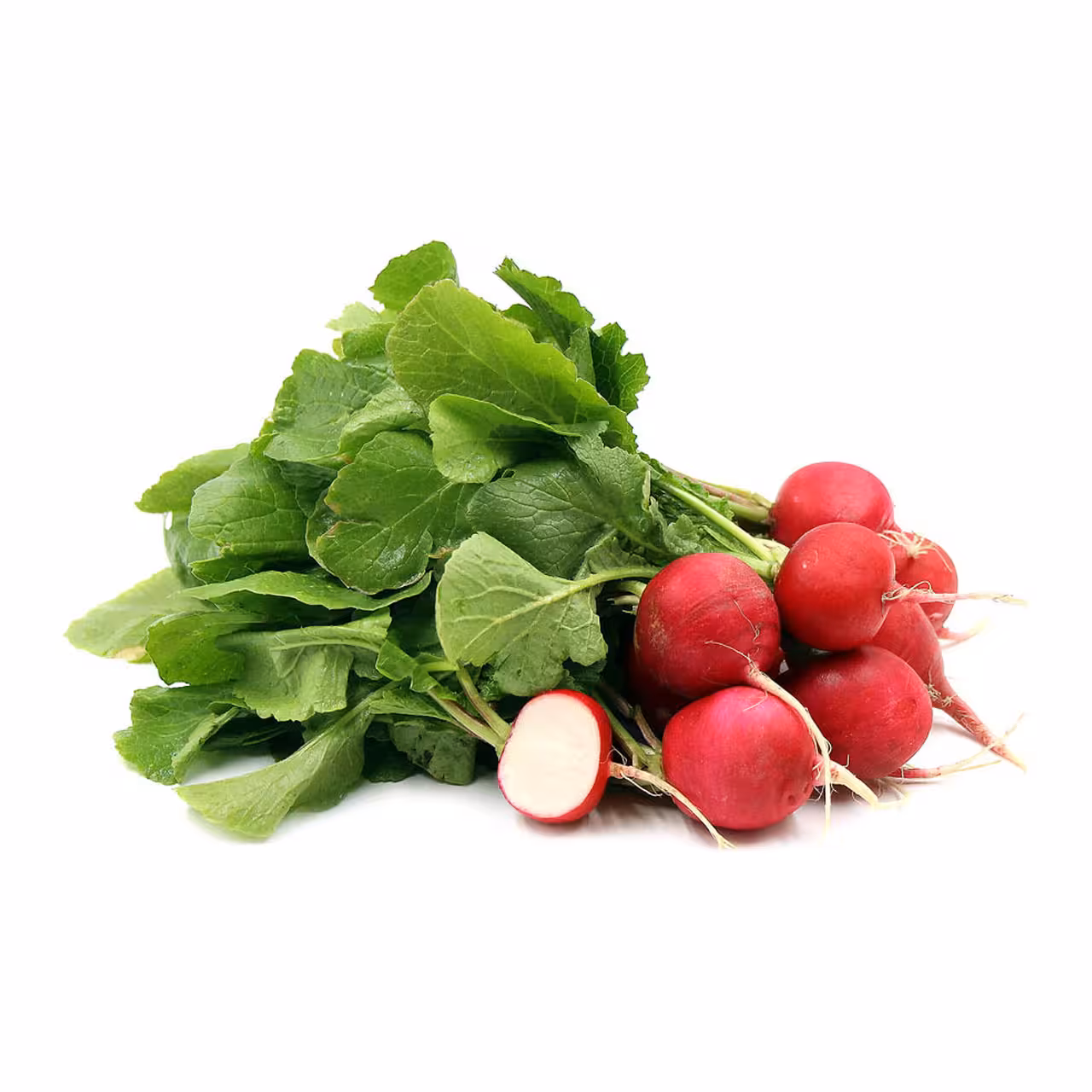 سبزی تربچه تازه درجه یک -1 کیلوگرم