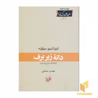 کتاب رمان های بزرگ دنیا(21)دانه زیر برف اثر اینیاتسیو سیلونه نشر امیرکبیر