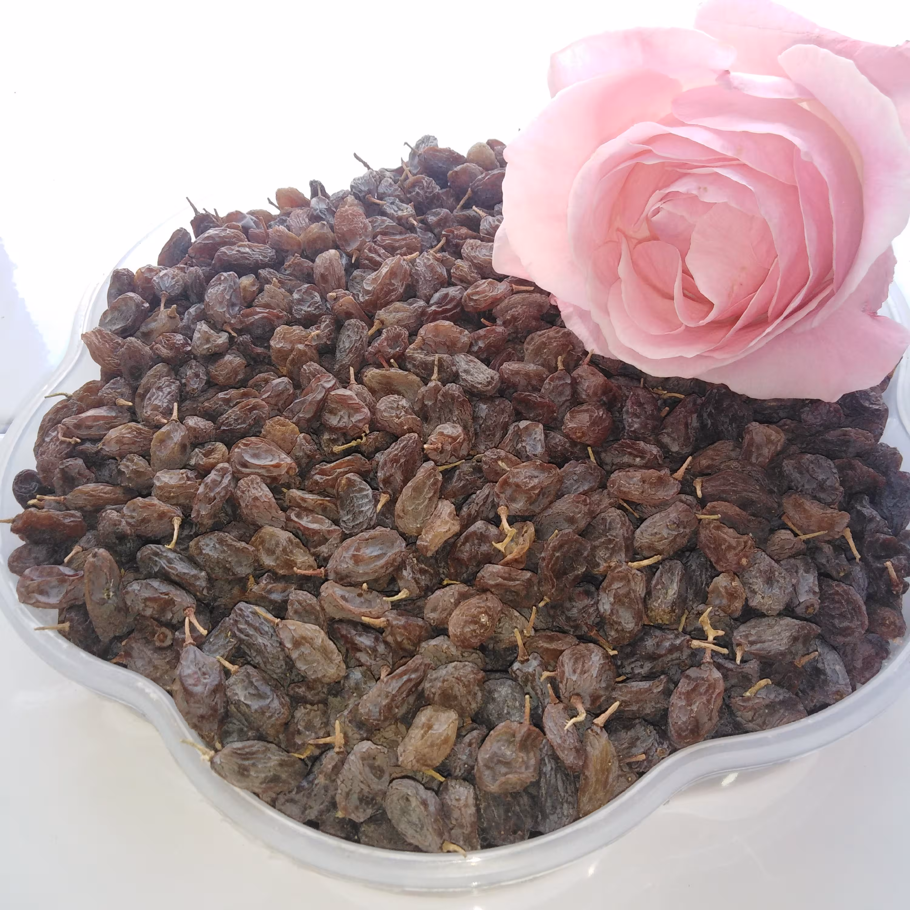 کشمش آفتابی بوانات تضمین کیفیت