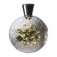 ادوپرفیوم Art & Silver & Perfume swarovski از برند Ramon Molvizar