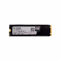 اس اس دی اینترنال اف دی کی B5 SERIES M2 SATA ظرفیت 256 گیگابایت
