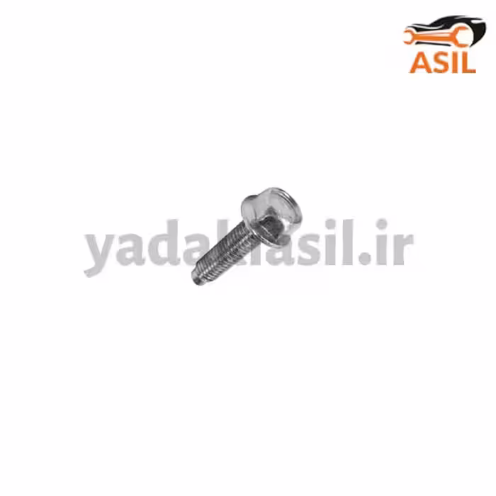 پیچ منیفولد