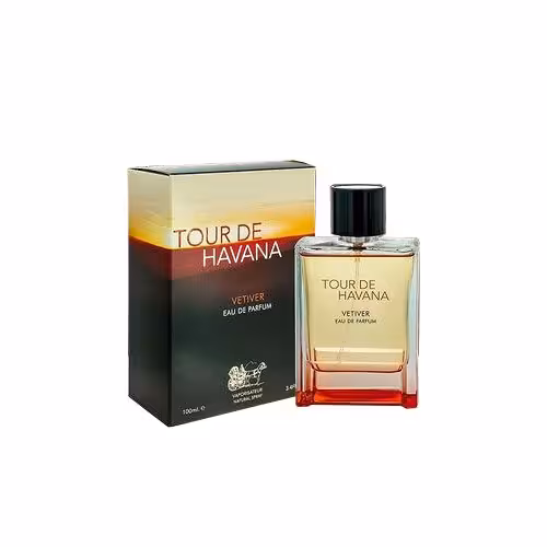 عطر ادکلن مردانه تق هرمس وتیور فراگرنس ورد (FRAGRANCE WORLD Terre D’Hermes Vetiver) حجم 100 میل