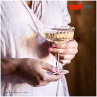 جام ایکیا مدل SÄLLSKAPLIG