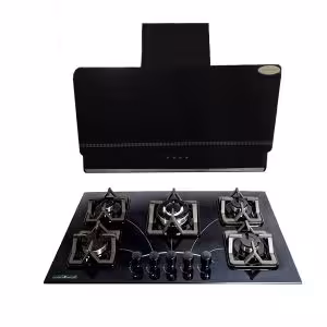 ست هود و اجاق گاز صفحه ای دنپاسر مدل SET 1002