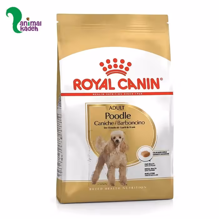 غذا خشک سگ بالغ پودل ادالت رویال کنین Poodle Adult (1.5 کیلویی)