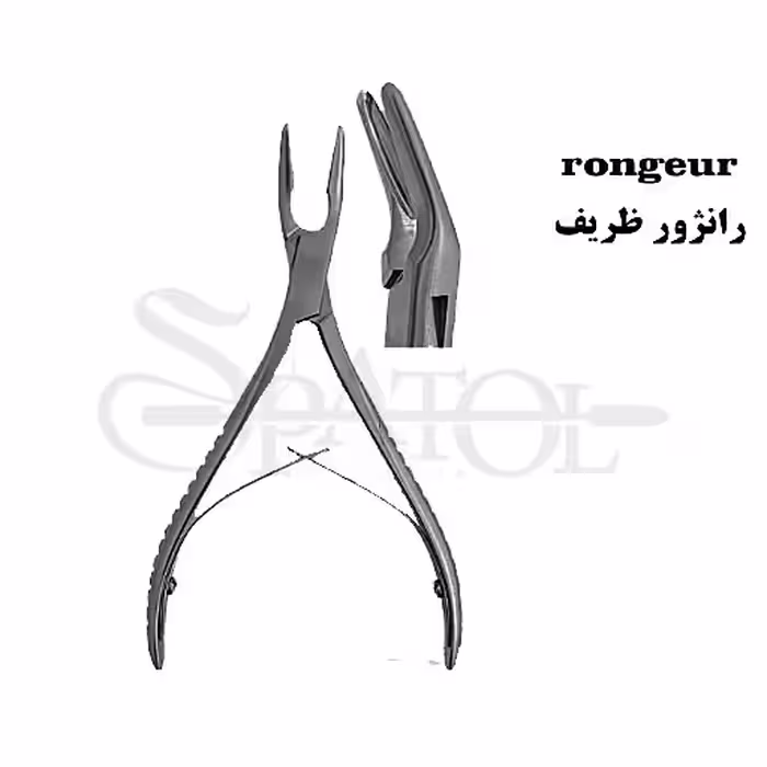 رانژور ظریف کاریزما Charisma