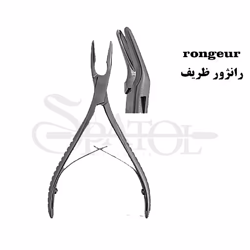 رانژور ظریف کاریزما Charisma