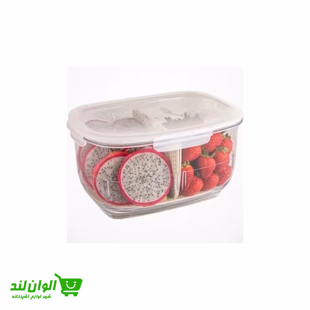 باکس نگهدارنده میوه لیمون سایز بزرگ کد 37259