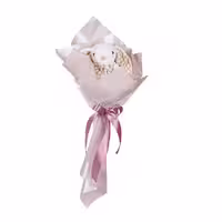 بوکت عروسکی خرگوش جلی کت سفید