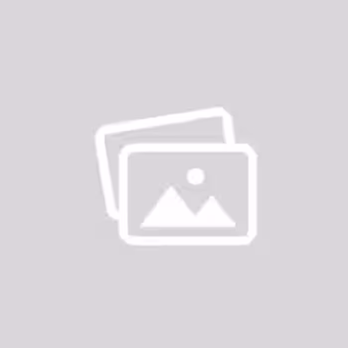 شیر روشویی اهرمی متحرک کروم آریانا (مدل آریا)