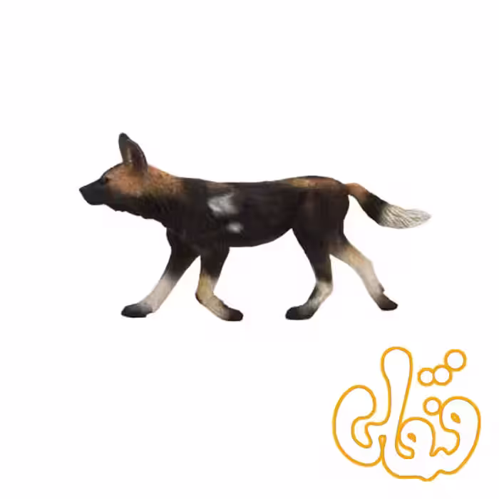 سگ آفریقایی رنگی African Painted Dog 387110
