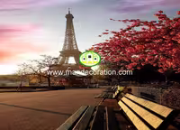 پوستردیواری ایفل و شکوفه قرمز کد 13009