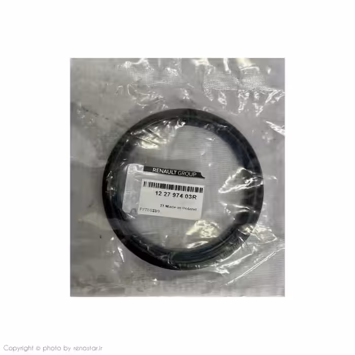 کاسه نمد ته میلنگ مگان2000 اصلی