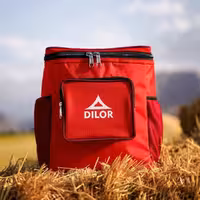 کول باکس دیلور مدل CHILL PACK